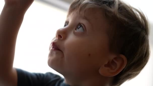 Jeden Mały Chłopiec Otwiera Klamkę Dziecko Otwiera Drzwi Wejściowe — Wideo stockowe