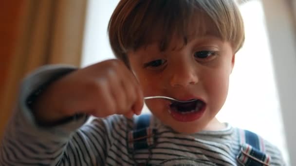 Niño Pequeño Comiendo Yogur Con Cuchara Niño Comiendo Bocadillo — Vídeos de Stock