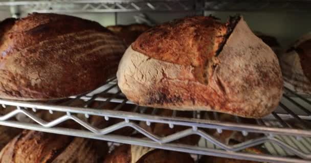 传统面包堆在面包店的架子上 — 图库视频影像
