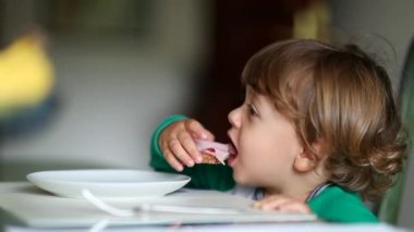 Küçük bebek masada oturmuş jambonlu ekmek yiyor.