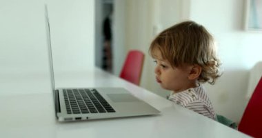 Küçük çocuk dizüstü bilgisayara bakıyor ve medyayı izliyor. Bebek çizgi film izliyor.