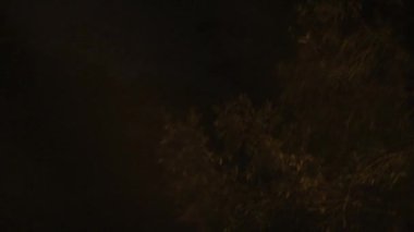 Gece araba kullanırken ışık direkleri geçiyor.