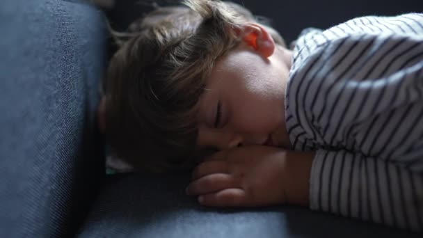 Bebek Kanepede Uyuyor Çocuk Kanepede Uyuyor — Stok video