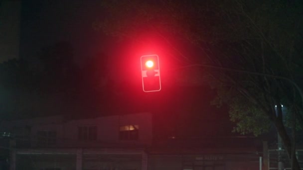 Червоне Світло Вночі Очікування Зеленого Йде — стокове відео