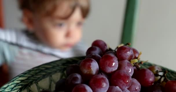 Plaat Van Druiven Voorgrond Met Kind Achtergrond — Stockvideo