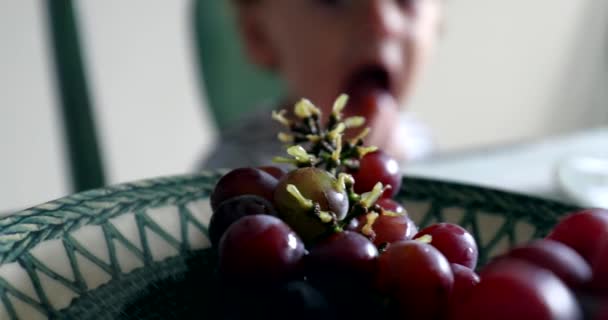 Niño Agarrando Fruta Uva Niño Recogiendo Uvas Del Plato — Vídeo de stock