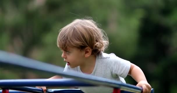 Bambini Che Giocano Parco Giochi Monkey Bar — Video Stock