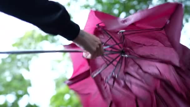 Jonge Vrouw Het Openen Van Paraplu — Stockvideo
