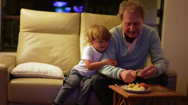 Wnuk Obejmujący Dziadka Siedzącego Sofie Salonie Wnuk Przytulający Dziadka Autentyczne — Wideo stockowe