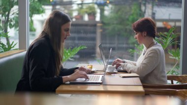 Laptop bilgisayarlarının önünde kahve dükkanında oturan iki genç kadın. Kafedeki teknolojik cihazların önünde çalışan ya da uzaktan çalışan insanlar.