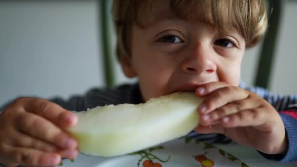 Petit Garçon Mangeant Des Melons Verts — Video