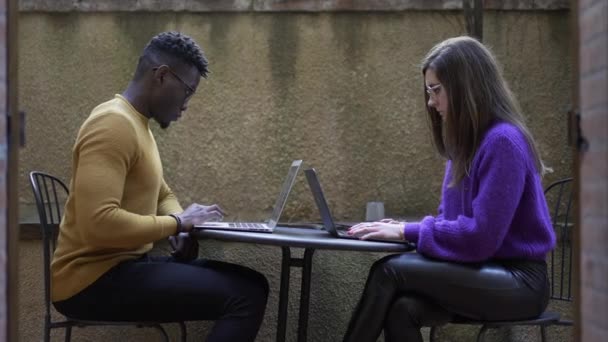 黒人男性と白人の女の子はラップトップコンピュータの前で外で働いています — ストック動画
