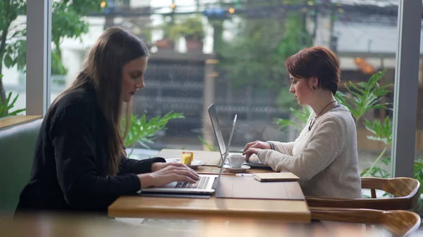 Laptop bilgisayarlarının önünde kahve dükkanında oturan iki genç kadın. Kafedeki teknolojik cihazların önünde çalışan ya da uzaktan çalışan insanlar.