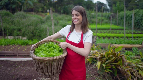 Female Farmer Walking Small Farm Holding Basket Organic Lettuces Happy — Fotografia de Stock