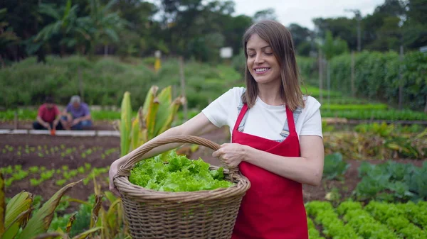 Female Farmer Walking Small Farm Holding Basket Organic Lettuces Happy — Fotografia de Stock