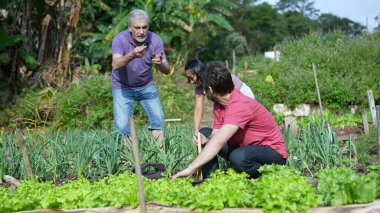 Küçük yerel organik çiftlikteki şehir çiftçileri. Toprakla ilgilenen yiyecek yetiştiren bir grup insan. Sürdürülebilir büyüme kavramı
