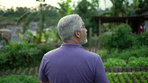 Back of older man walking in small farm. Senior farmer walks forward in organic farming overlooking cultivation. Sustainability concept