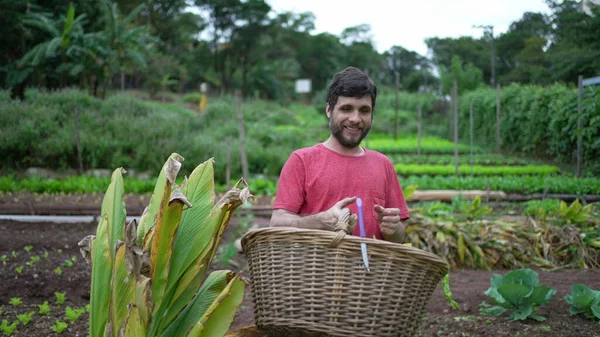 Young Farmer Carrying Organic Lettuces Basket Man Carries Organic Food — Zdjęcie stockowe