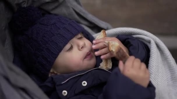 Bébé Tout Petit Endormant Mangeant Pain Glucide Dans Une Poussette — Video