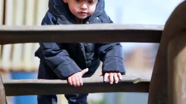 Criança Menino Escalando Estrutura Parque Parque Infantil — Vídeo de Stock