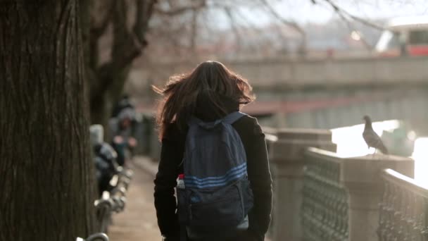 Baksidan Kvinna Promenader Vid Prags Flod Begrunda Och Dagdrömma Beundra — Stockvideo