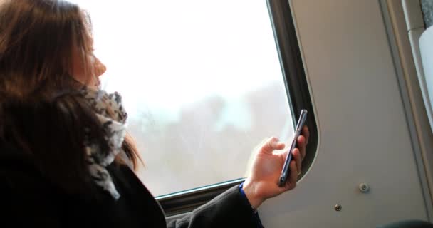 運動中の背景風景と電車で移動中の女性の顔の候補本物のプロフィール — ストック動画