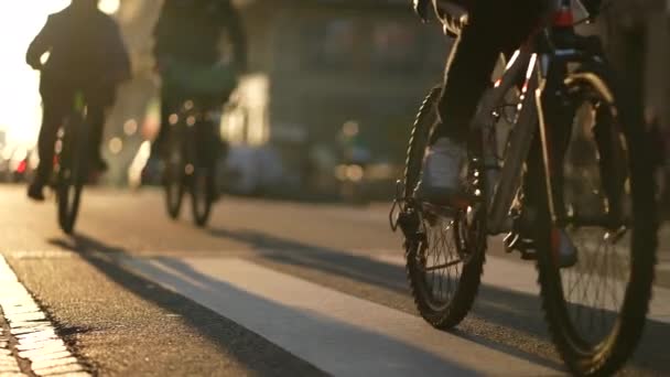 Gente Montando Bicicletas Calle Durante Atardecer — Vídeo de stock