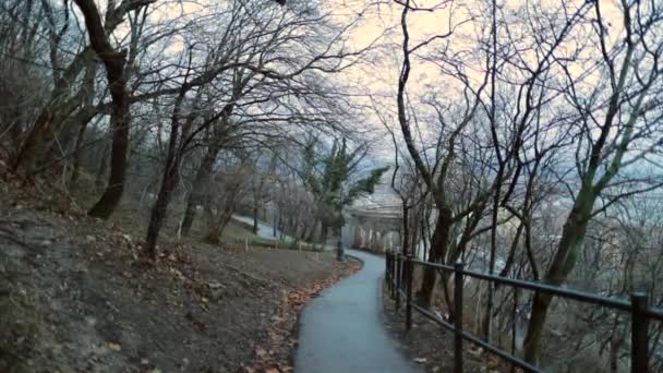 Caminho Natureza Durante Estação Fria Inverno — Vídeo de Stock