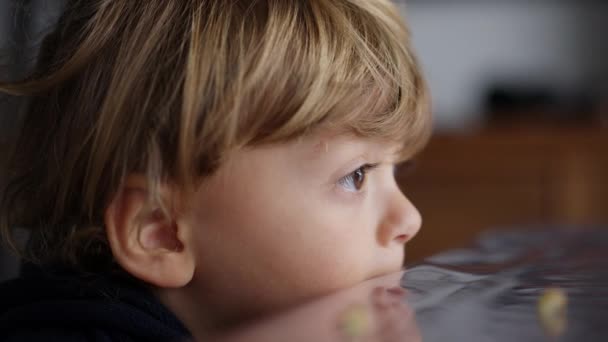 Bébé Tout Petit Hypnotisé Par Écran Enfant Mordant Table Tout — Video