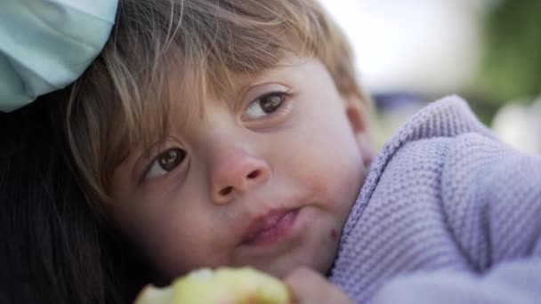母親抱っこ幼児男の子食べるリンゴ果実 — ストック動画