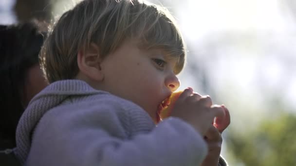 Niño Comiendo Aperitivo Saludable Fruta Manzana Afuera — Vídeos de Stock