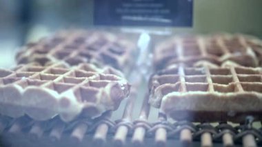 Pastanede gözlemeler sergileniyor