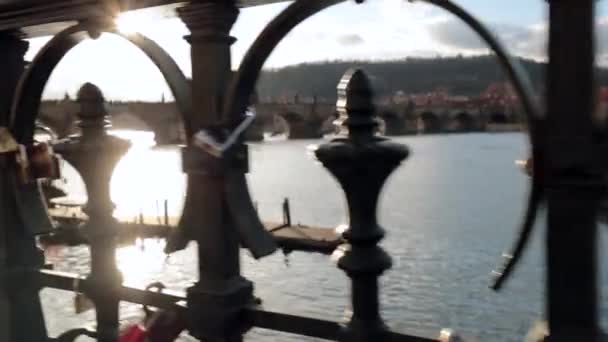 Love Locks Οποία Ζεύγη Hung Metal Fence Κοντά Vltava Ποταμού — Αρχείο Βίντεο