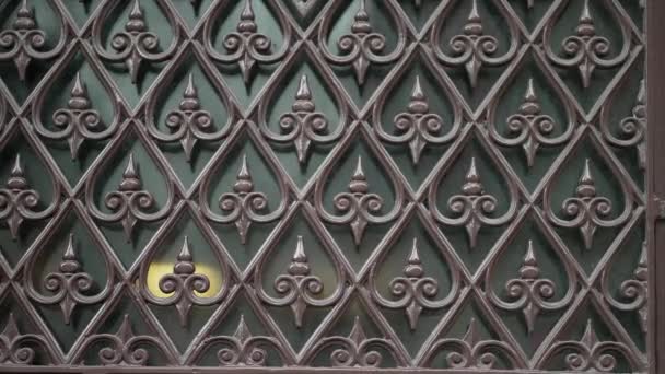 Traditional Aesthetic Architecture Door Detail Patterns — Stock Video