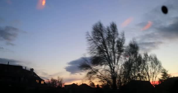 Landscape Seen Window While Traveling Bus Beautiful Blue Sky Sunset — Stock Video