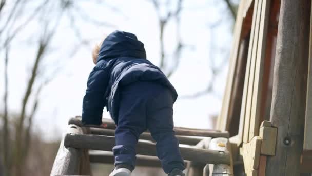 Küçük Bebek Çocuk Parkında Tırmanmayı Öğreniyor — Stok video