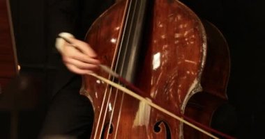 Orkestrada keman çalan müzisyen ısınsın. profesyonel çellocu 4K ile müzik aleti çalıyor