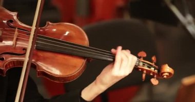 Kemancı konser salonunda keman çalıyor. Müzisyen 4K senfoni orkestrasında çalıyor.