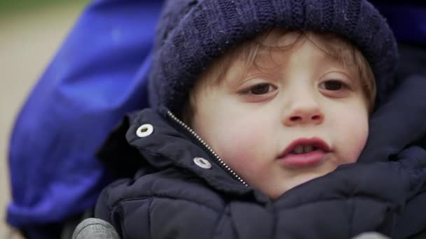 婴儿车上穿着冬衣的幼儿 — 图库视频影像