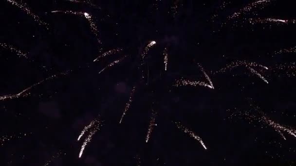Ohňostroj Zobrazuje Exploze Zpomaleným Pohybem 120Fps — Stock video