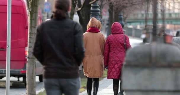 Hideg Téli Szezonban Városban Sétáló Emberek Háta — Stock videók