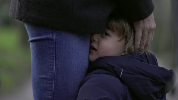 Äiti Halaa Pientä Taaperolapsenpoikaa Vanhempien Hoitaminen Lapsi — kuvapankkivideo