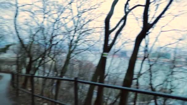 Pantofle Prázdné Parkové Cesty Holými Stromy Strašidelným Náladovým Prostředím Chladná — Stock video
