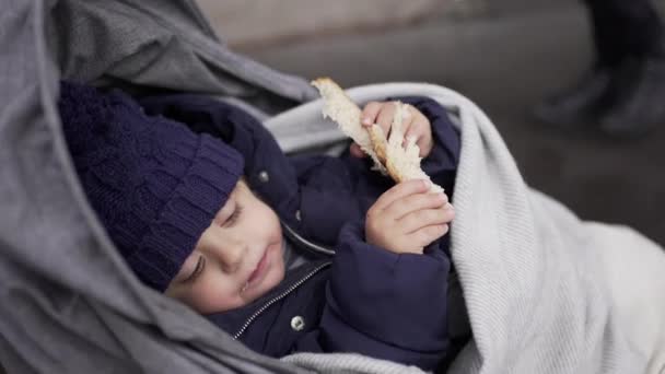 Anak Yang Nyaman Naik Kereta Bayi Selama Musim Dingin Pakaian — Stok Video