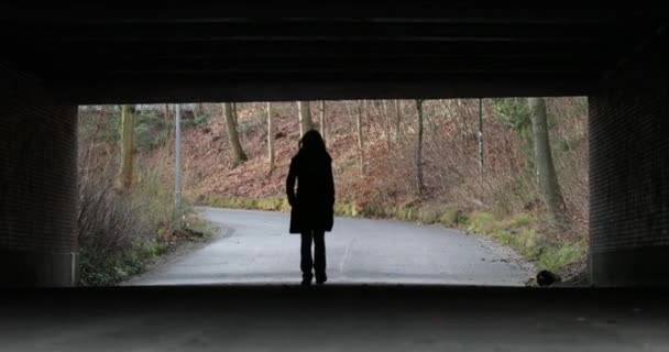 Silueta Mujer Caminando Bajo Puente Solitaria Melancólica Atmósfera Triste Concepto — Vídeos de Stock