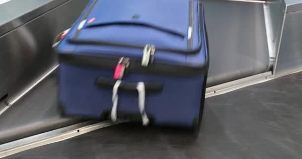 Baggage Claim International Airport People Picking Suitcase Bags Conveyor Belt — Stock Video
