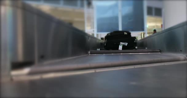 Réclamation Bagages Aéroport International Les Gens Ramasser Valise Sacs Bande — Video