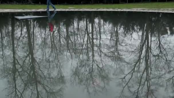 Silhouettes Branch Trees Water Lake Sad Melancholic Atmosphere — Stock Video