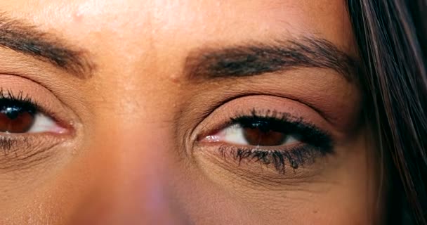 Preto Mulher Olhos Macro Close Africano Misto Raça — Vídeo de Stock