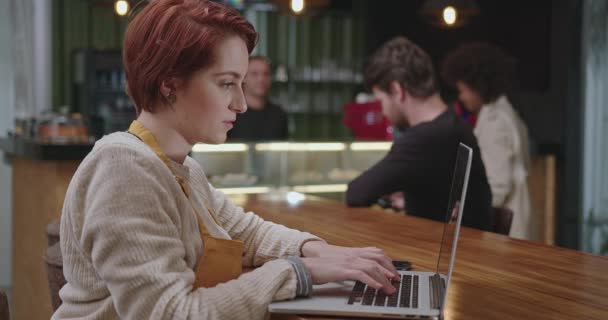 Junge Frau Vor Dem Laptop Bei Der Arbeit Frauenarbeit Café — Stockvideo